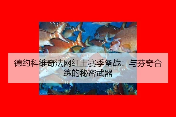 德约科维奇法网红土赛季备战：与芬奇合练的秘密武器