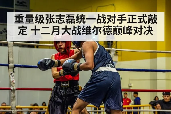 重量级张志磊统一战对手正式敲定 十二月大战维尔德巅峰对决