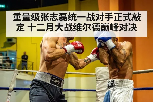 heavyweight boxer punch